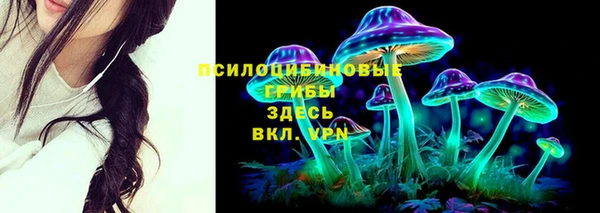 гидропоника Баксан