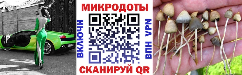 сколько стоит Шебекино гидра ссылки Галлюциногенные грибы MAGIC MUSHROOMS